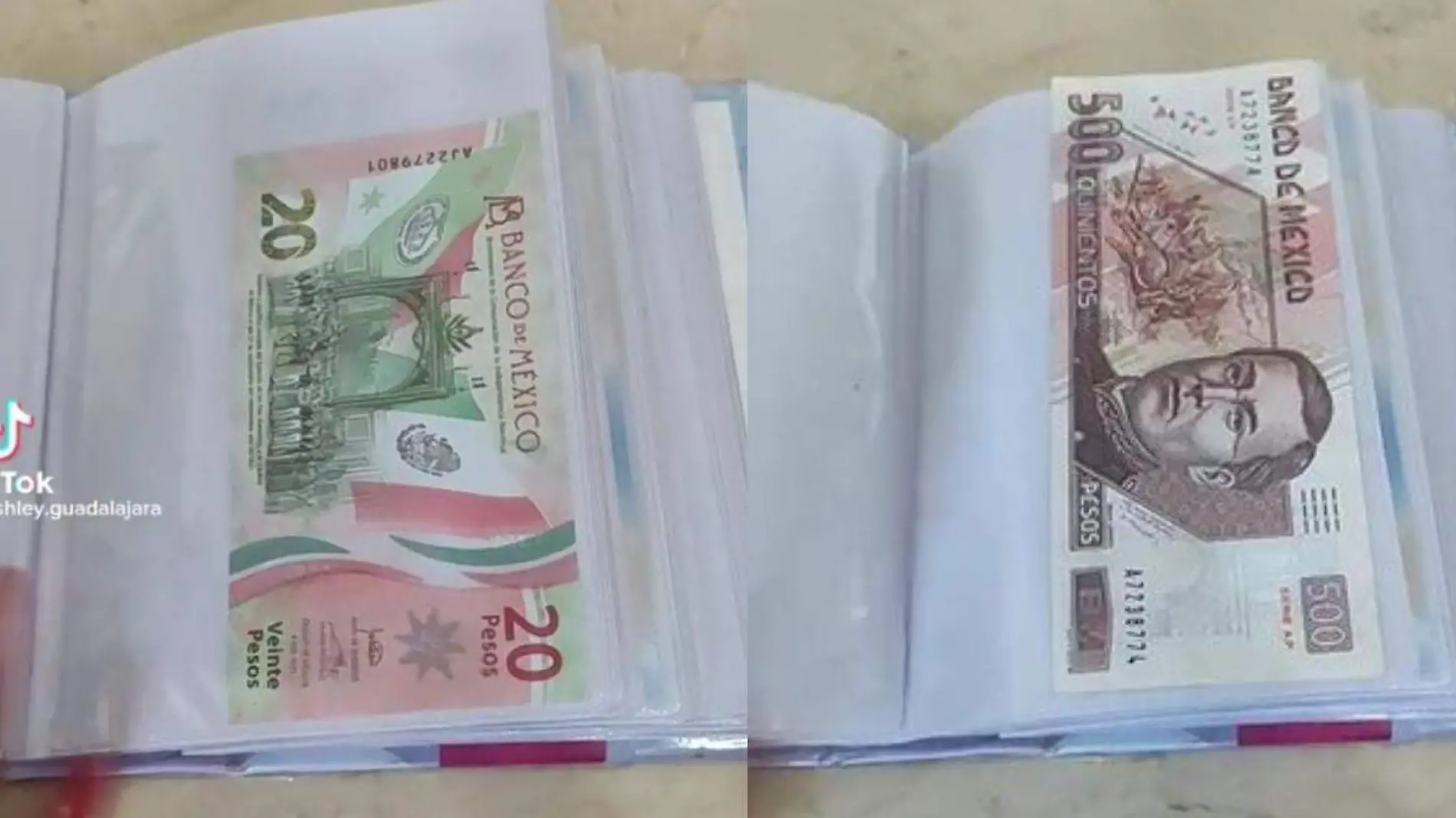 Chica presume la colección de billetes mexicanos de su papá y se hace viral